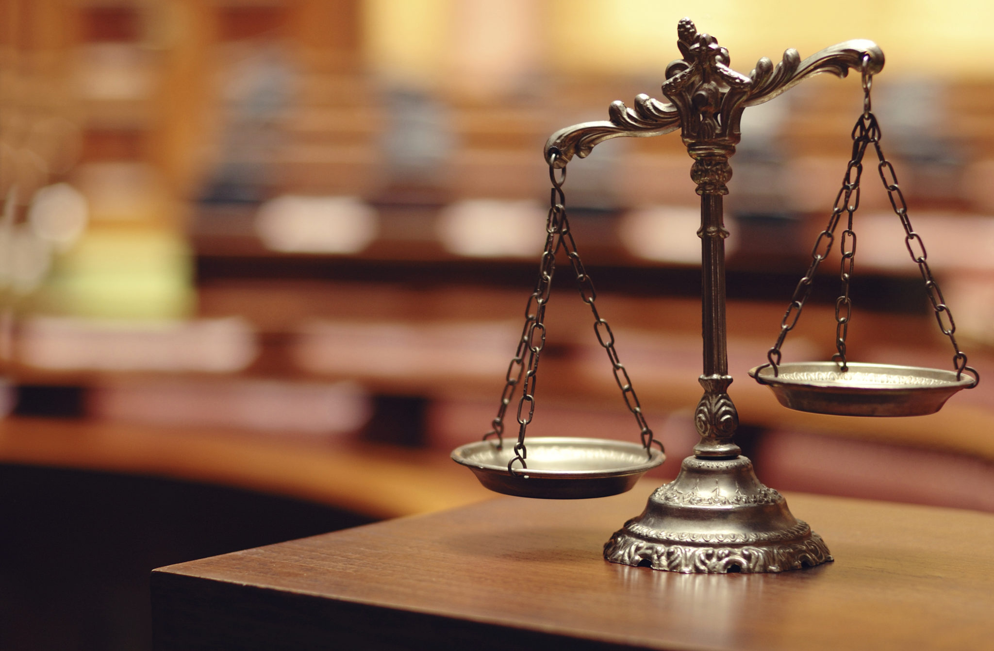 Constitutional Law Services
